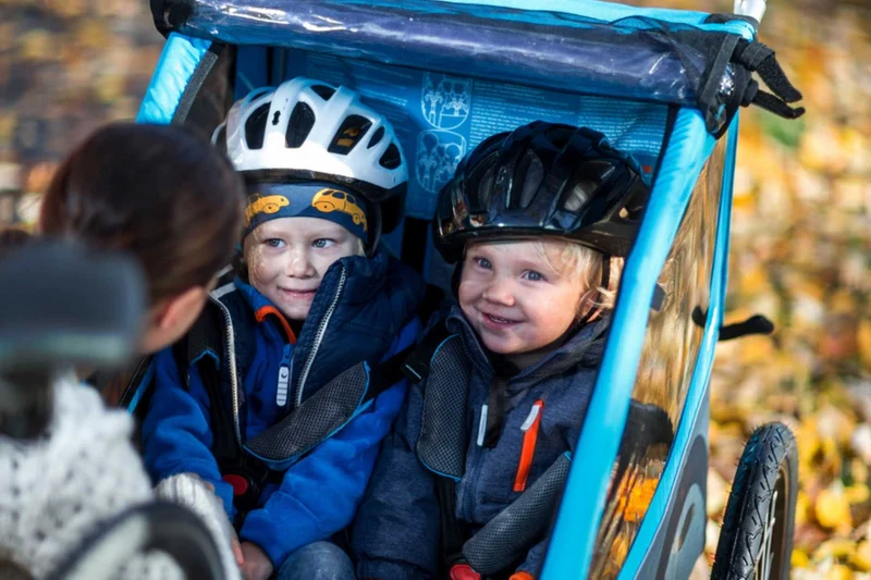 Ausstellungsstück - Thule Coaster XT Fahrradanhänger-Set mit Buggy-Set für zwei Kinder basil green
