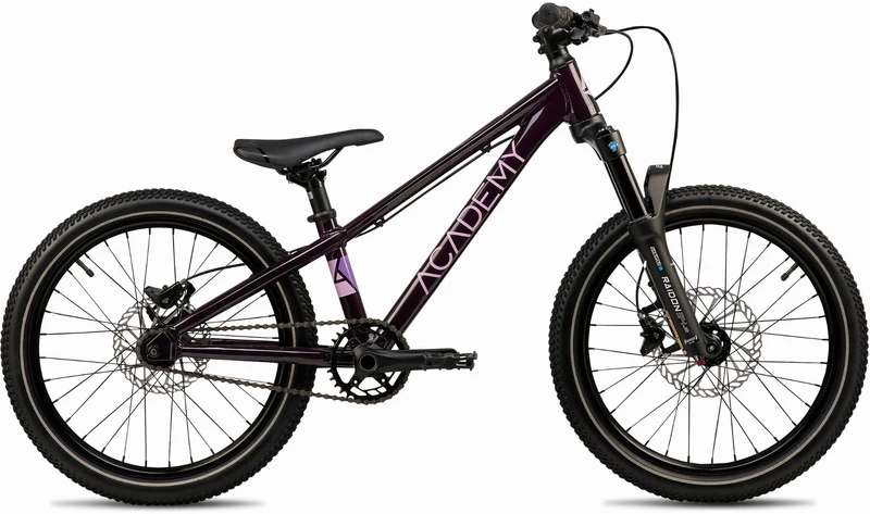 Academy Pump 4 Kinderrad Diamant 20" plum
