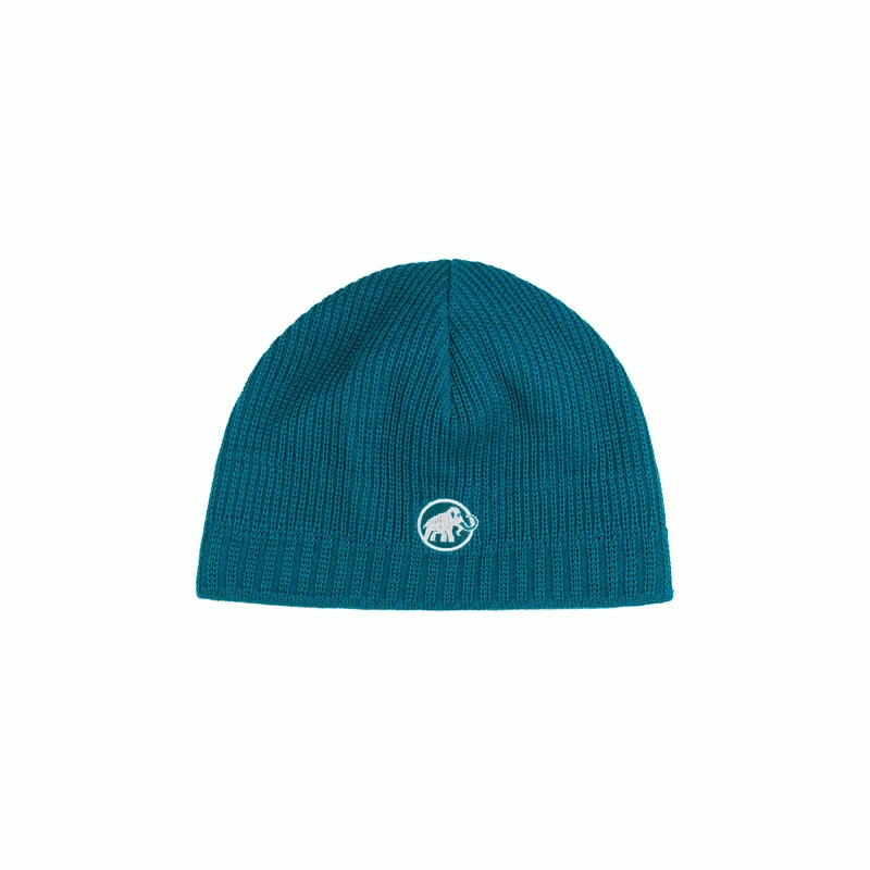 Sublime Beanie