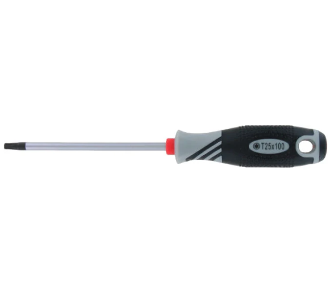 Var T 25Torx Schraubendreher