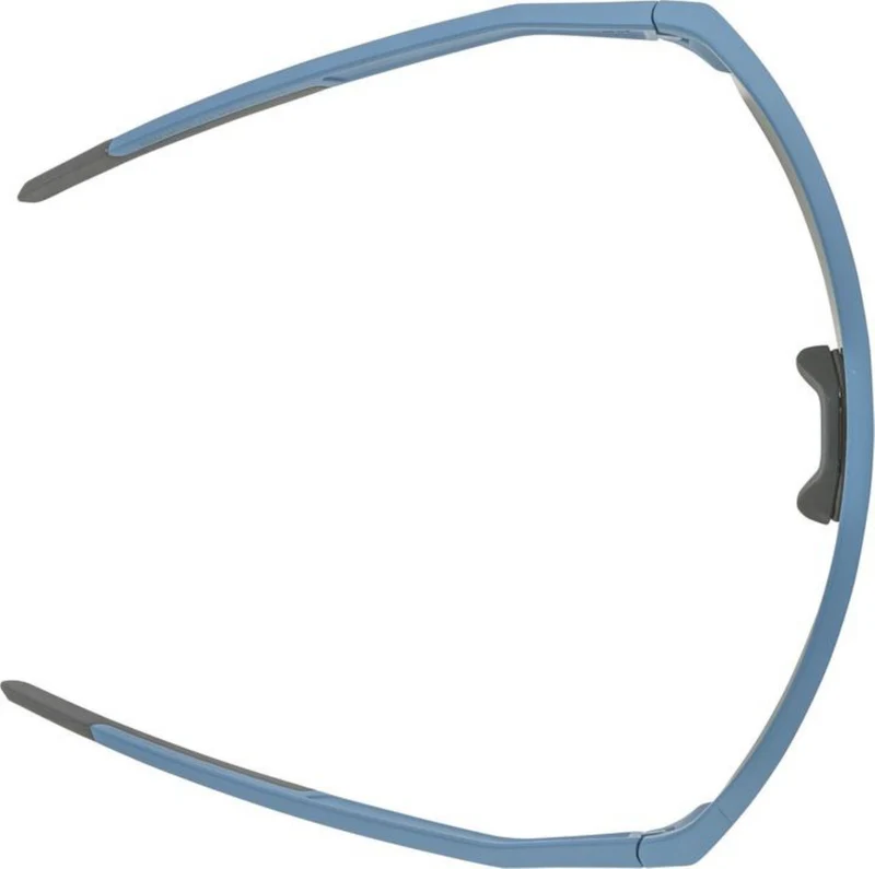 Alpina Ram HR Q-Lite Sportbrille smoke-blue matt/mirror gold one size