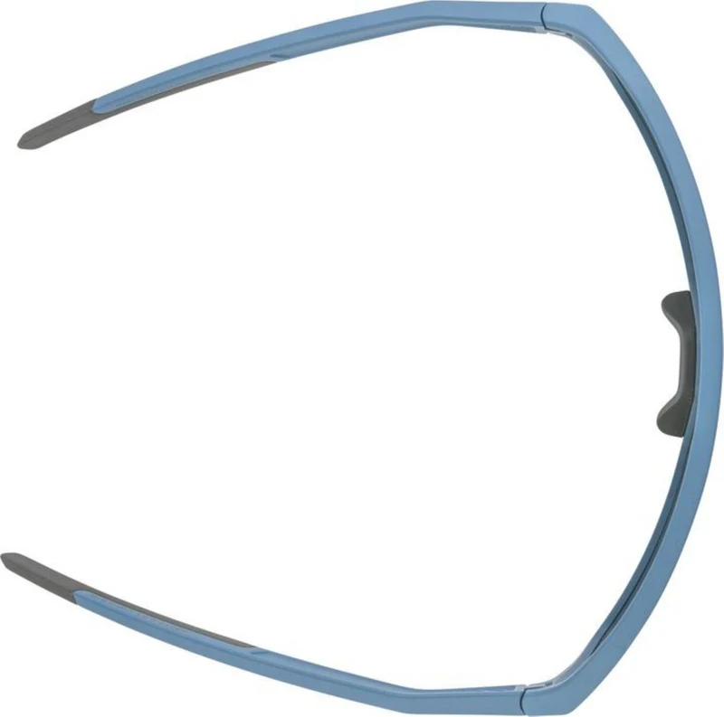 Alpina Ram Q-Lite Sportbrille smoke-blue matt/mirror gold one size