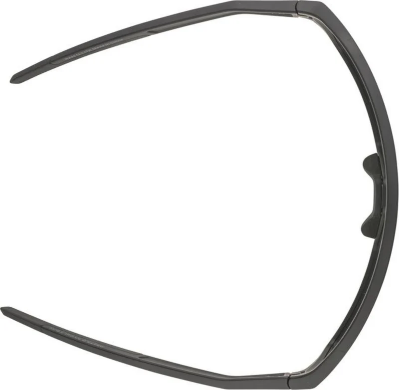 Alpina Ram Q-Lite Sportbrille black matt/mirror green one size