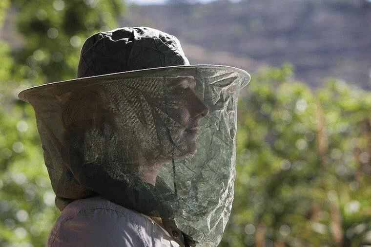 Pop-Up HeadNet