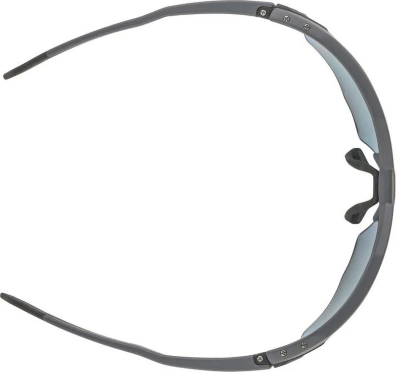 Alpina Twist Six HR QV Sportbrille grey matt/quattro/variofl.mirror+ rainb. one size