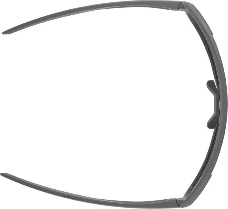 Alpina Bonfire Sportbrille midnight-grey matt/mirror green one size