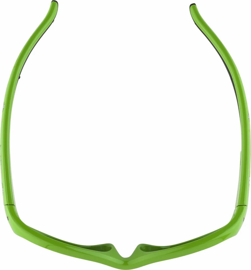 Alpina Flexxy Kids Kinder & Jugend Brille green-dino/ceramic black