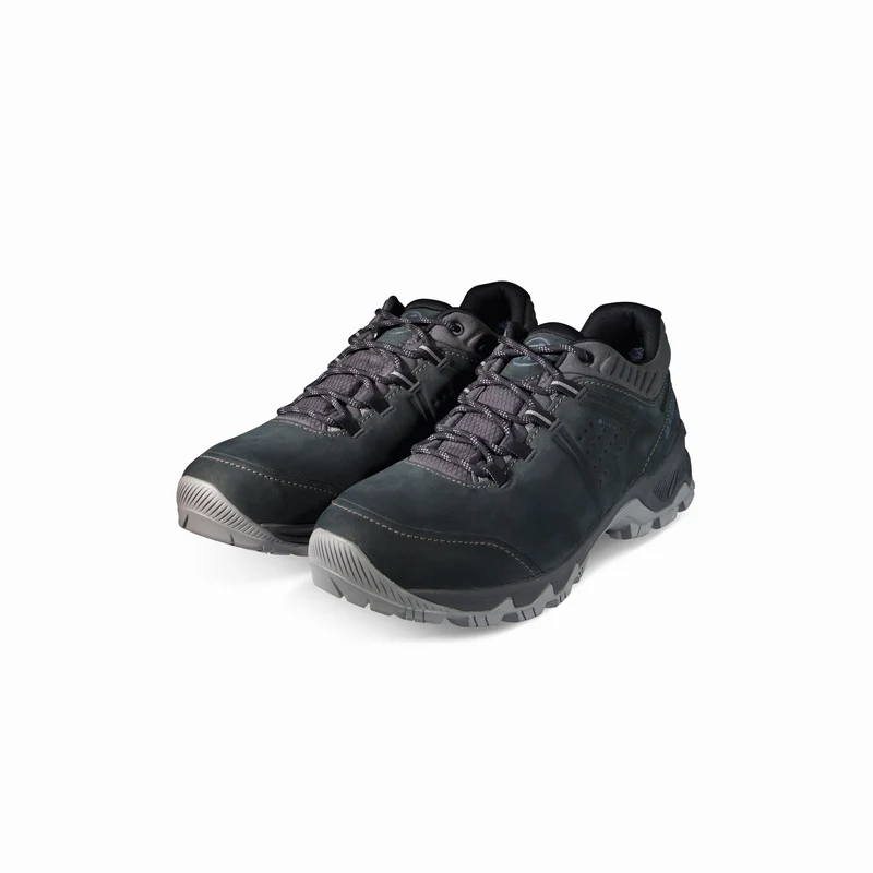 Mercury IV Low GTX Men