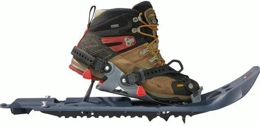 Evo Trail