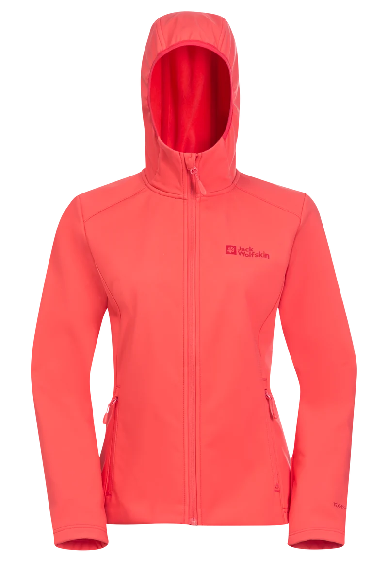 BORNBERG HOODY W