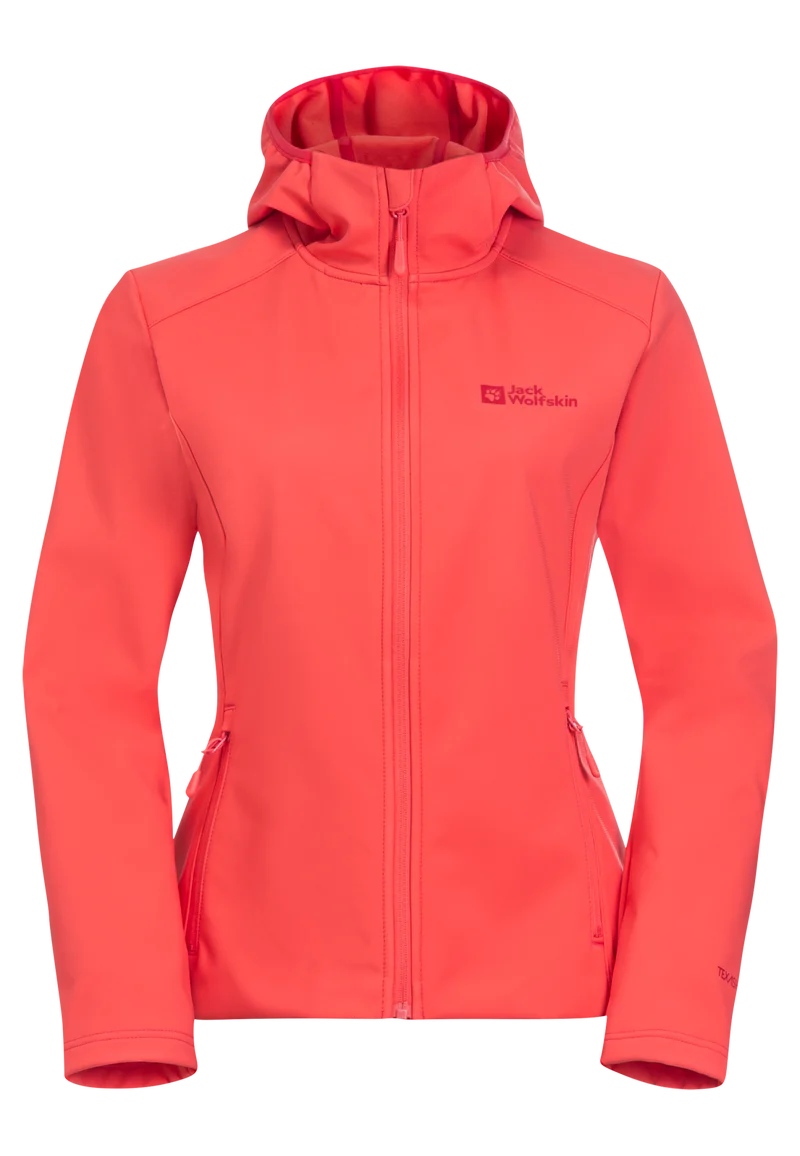 BORNBERG HOODY W