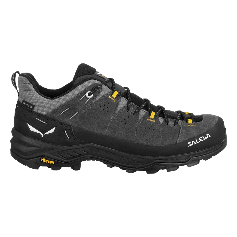 ALP TRAINER 2 GTX M