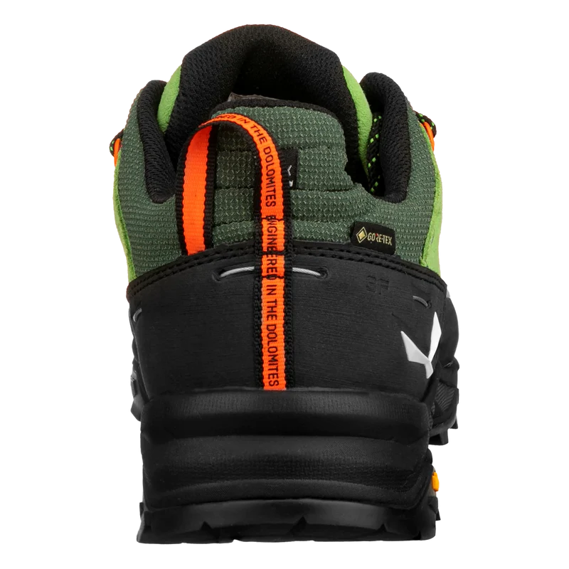 ALP TRAINER 2 GTX M