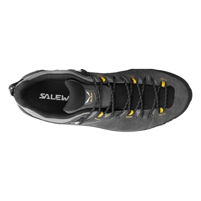 ALP TRAINER 2 GTX M