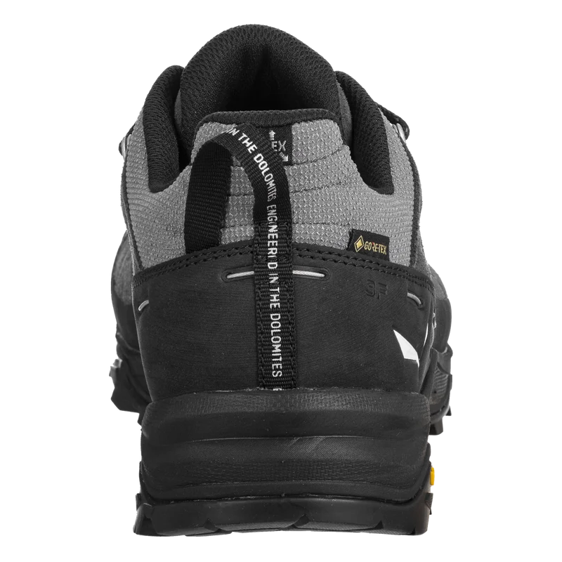 ALP TRAINER 2 GTX M