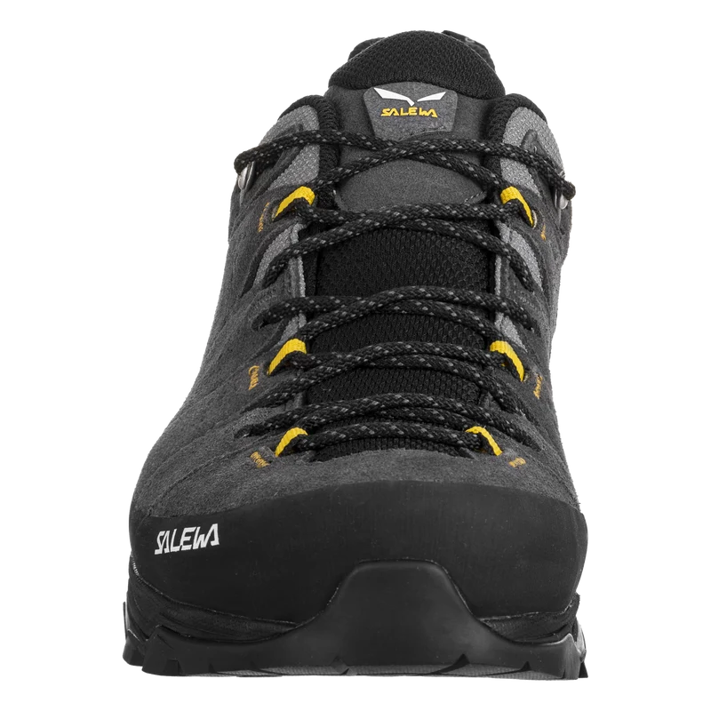 ALP TRAINER 2 GTX M