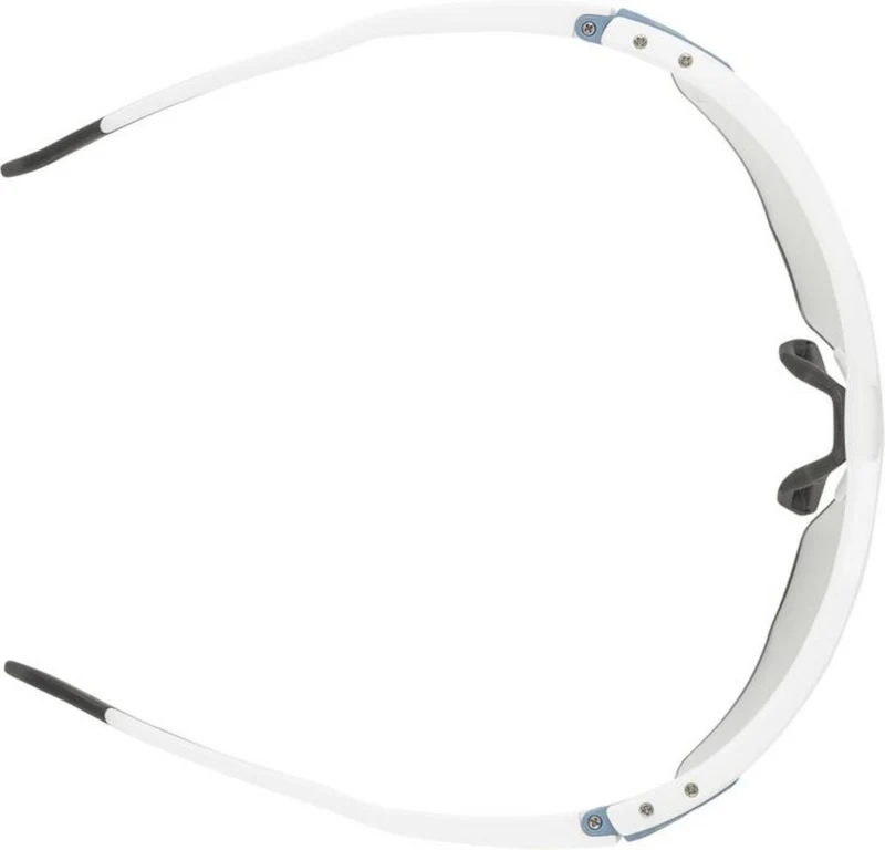 Alpina Twist Six HR V(M) Sportbrille white matt one size