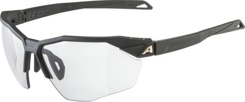 Alpina Twist Six HR V Sportbrille black matt/varioflex+ black one size
