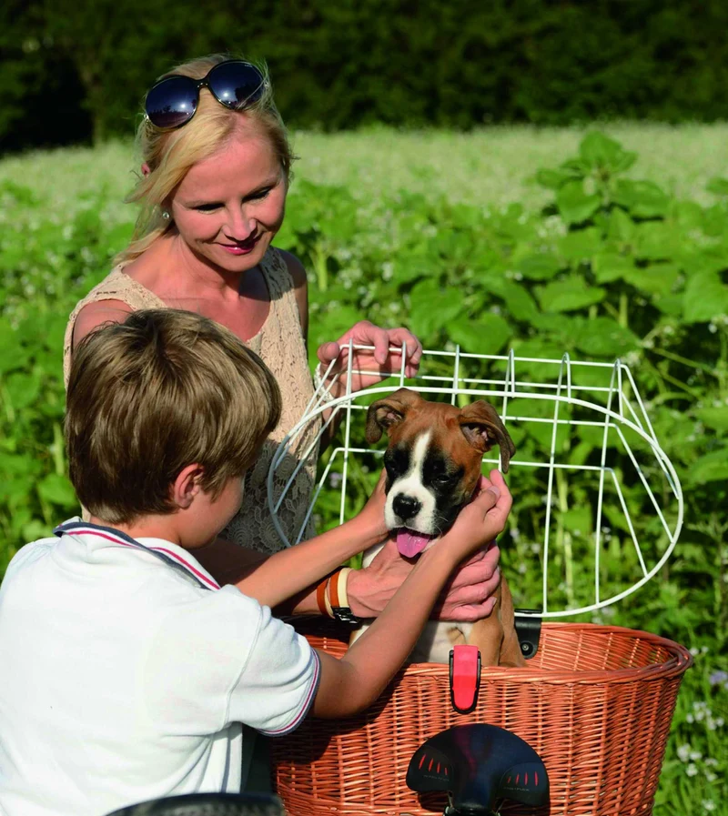 KLICKfix Doggy Basket Gepäckträgerkorb für Racktime