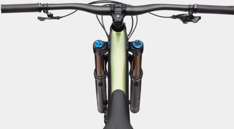 Cannondale Jekyll 1 MTB-Fully 29" beetle green