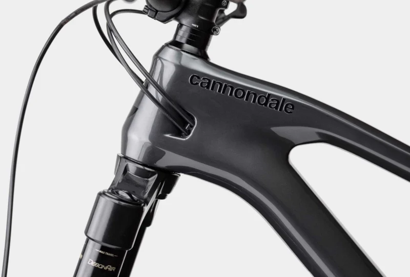 Cannondale Jekyll 2 MTB-Fully 29" graphite