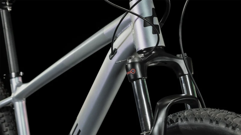 Cube Access WS Pro MTB-Hardtail Diamant galactic´n´black