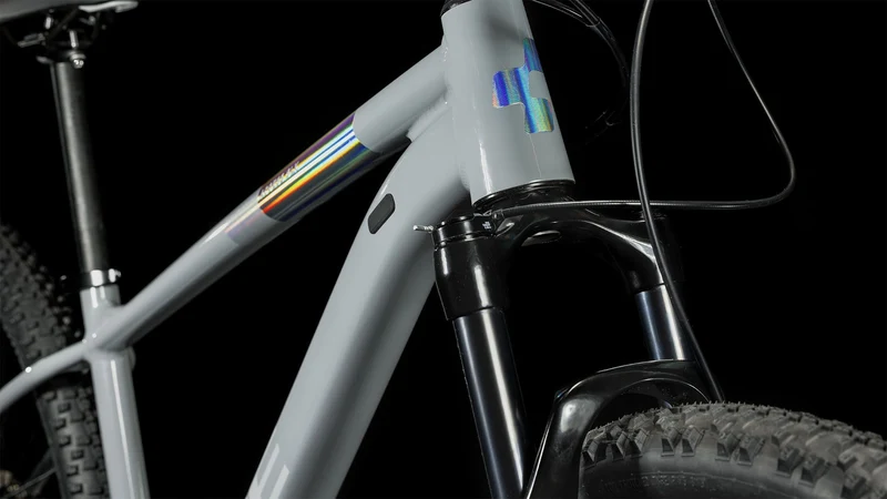 Cube Access WS SLX MTB-Hardtail Diamant grey´n´silver