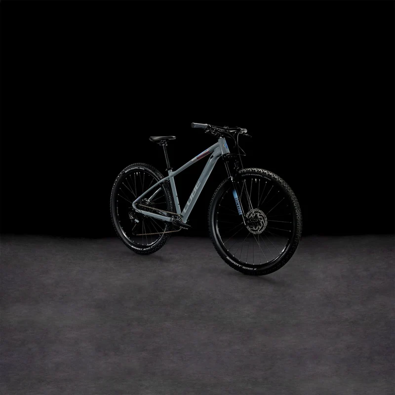 Cube Access WS SLX MTB-Hardtail Diamant grey´n´silver