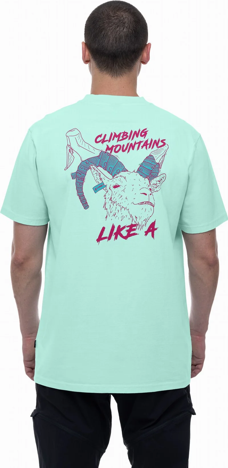 Cube Organic T-Shirt Goat GTY Fit mint