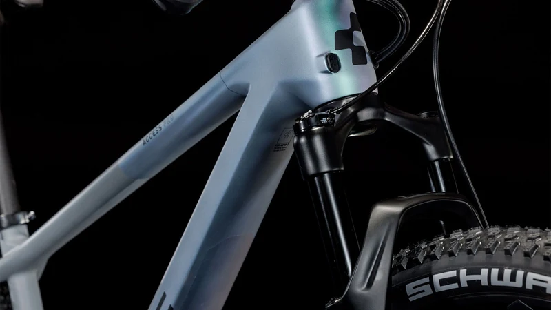 Cube Access WS C:62 Pro MTB-Hardtail Diamant galactic´n´grey