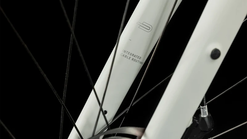Cube Nuroad WS Gravelbike Diamant lightgrey´n´rose