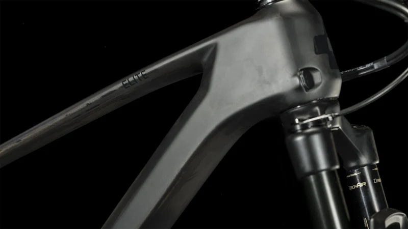 Cube Elite C:62 One MTB-Hardtail Diamant 29" carbon´n´black
