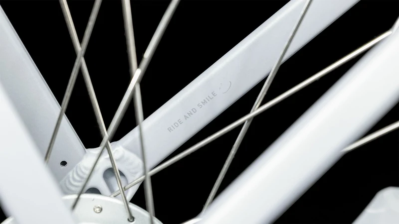 Cube Ella Cruise Cityrad Easy Entry 28" metallicstone´n´grey