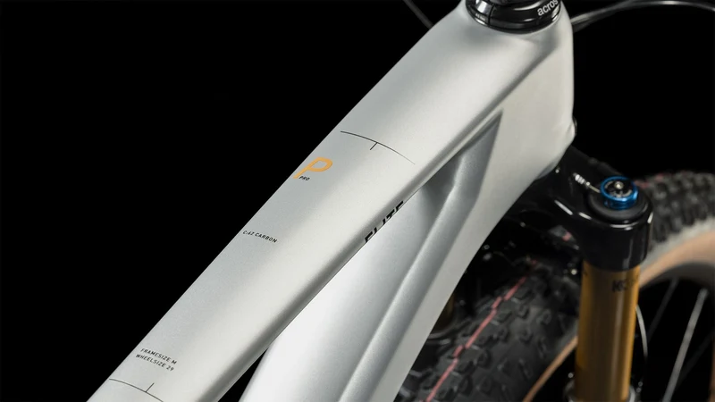 Cube Elite C:62 Pro MTB-Hardtail Diamant 29" silver´n´carbon