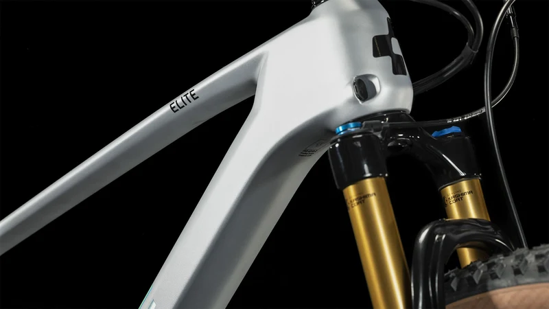 Cube Elite C:62 Pro MTB-Hardtail Diamant 29" silver´n´carbon