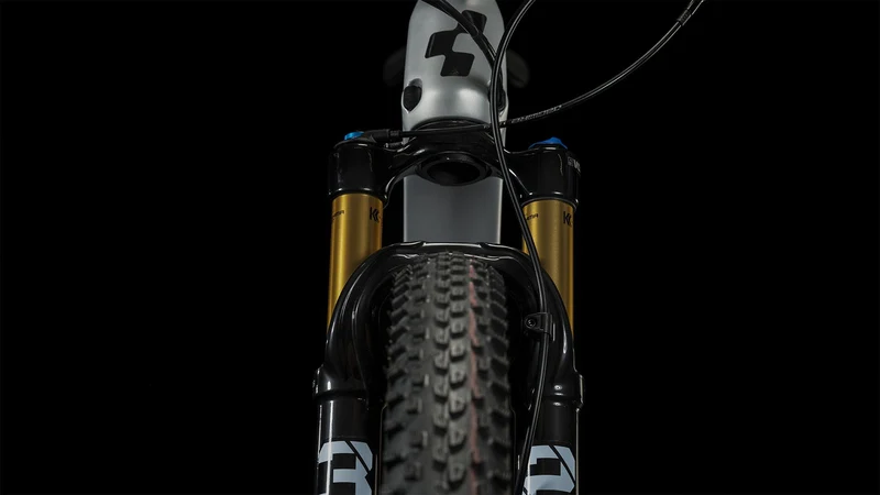 Cube Elite C:62 Pro MTB-Hardtail Diamant 29" silver´n´carbon