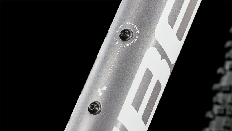 Cube Access WS Pro MTB-Hardtail Diamant sienna´n´blush