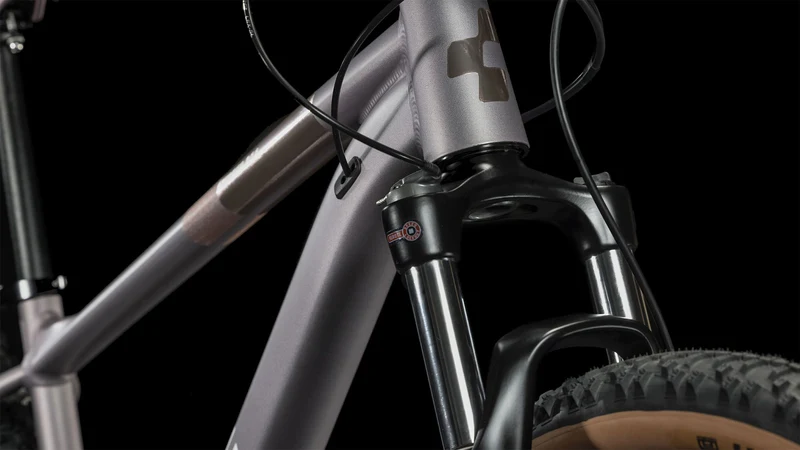 Cube Access WS Pro MTB-Hardtail Diamant sienna´n´blush