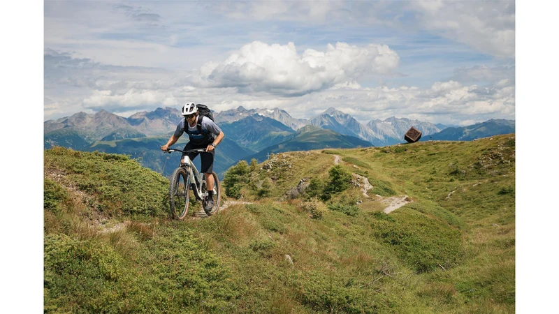 Cube Stereo One22 C:62 SLT MTB-Fully 29" metallicwhite´n´black