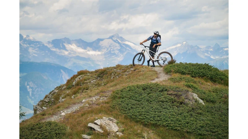 Cube Stereo One22 C:62 SLT MTB-Fully 29" metallicwhite´n´black
