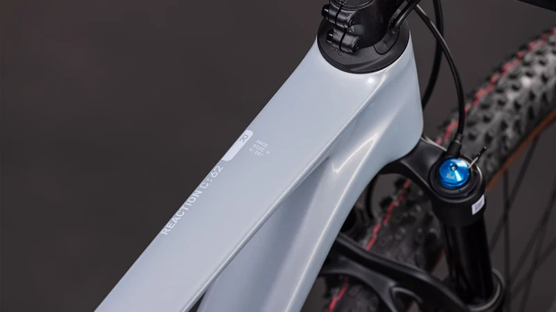 Cube Reaction C:62 Race MTB-Hardtail Diamant 29" foggrey´n´white