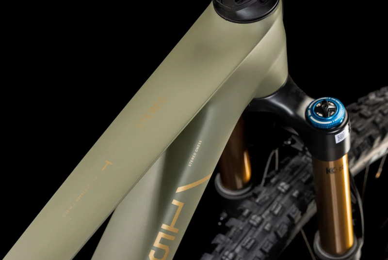 Cube Stereo One55 C:62 TM MTB-Fully 29" dustyolive´n´gold