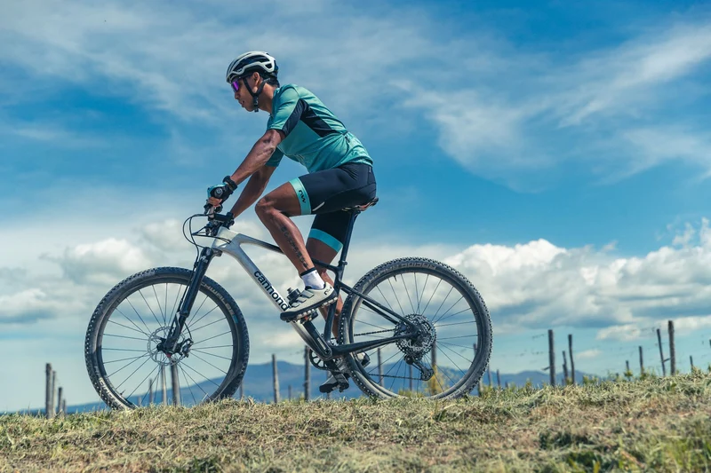 Northwave Hammer MTB-Schuhe black/dark grey