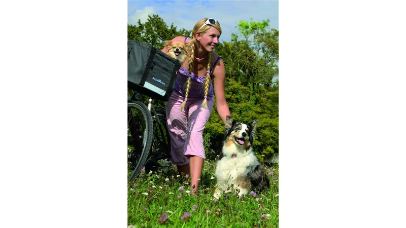 Klickfix Doggy Lenkertasche grau/schwarz