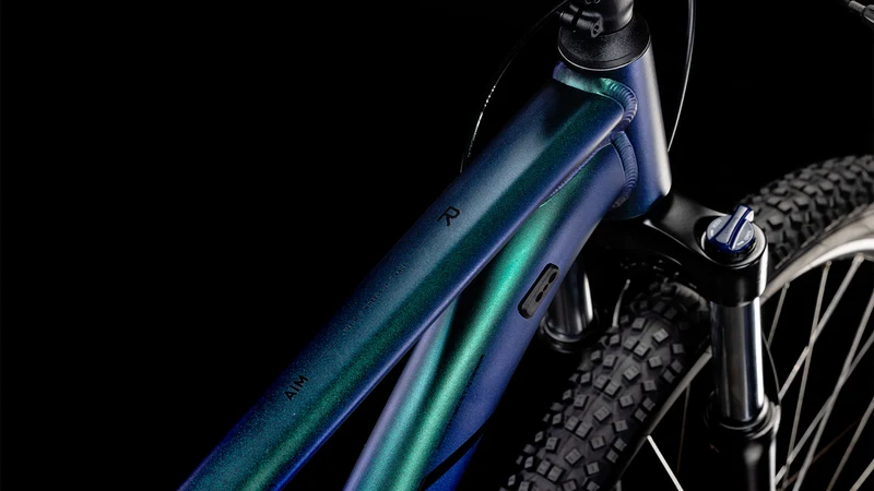 Cube Aim Race MTB-Hardtail Diamant goblin´n´black