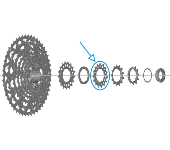 Shimano Ritzel für CS-LG700