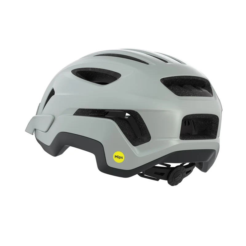 Alpina Paranus Mips Helm smoke-grey midnight-grey matt