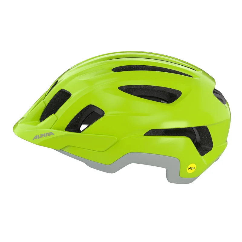 Alpina Paranus Mips Helm be-visible grey matt
