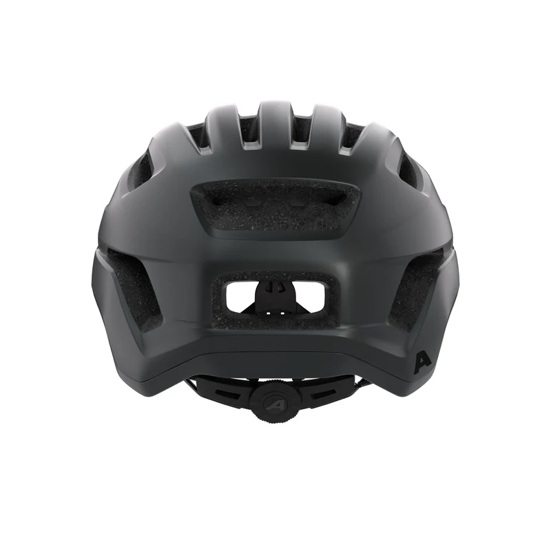 Alpina Paranus Helm black matt
