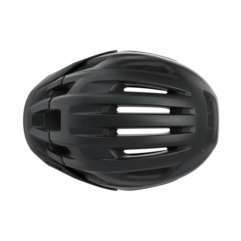 Alpina Paranus Helm black matt